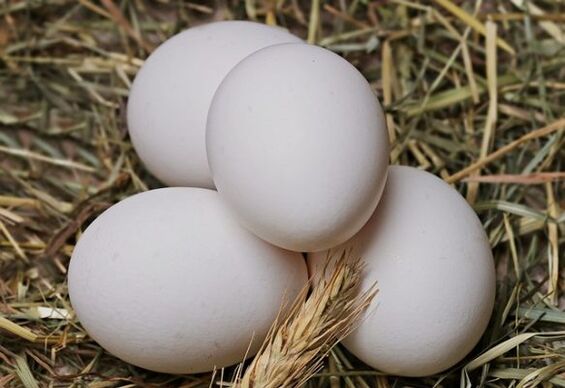 Η δίαιτα αυγών περιλαμβάνει την καθημερινή κατανάλωση αυγών κοτόπουλου. 